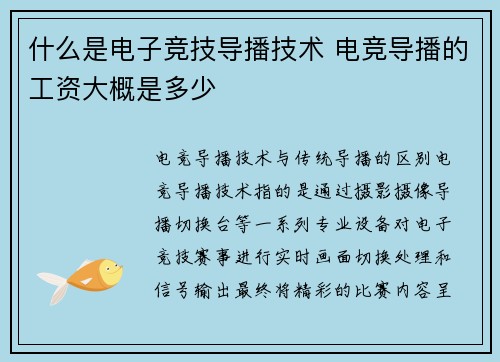 什么是电子竞技导播技术 电竞导播的工资大概是多少